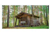 Forest Cabin Theatre Backdrop