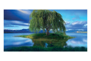 Weeping Willow Tree Theatre Backdrop