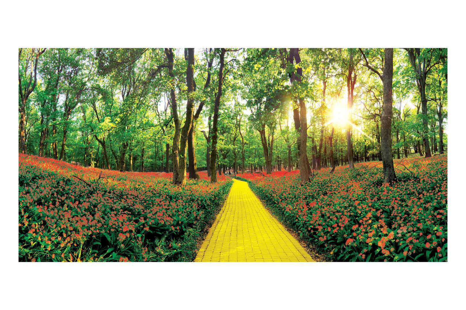 Yellow Brick Road Through Poppy Forest Theatre Backdrop