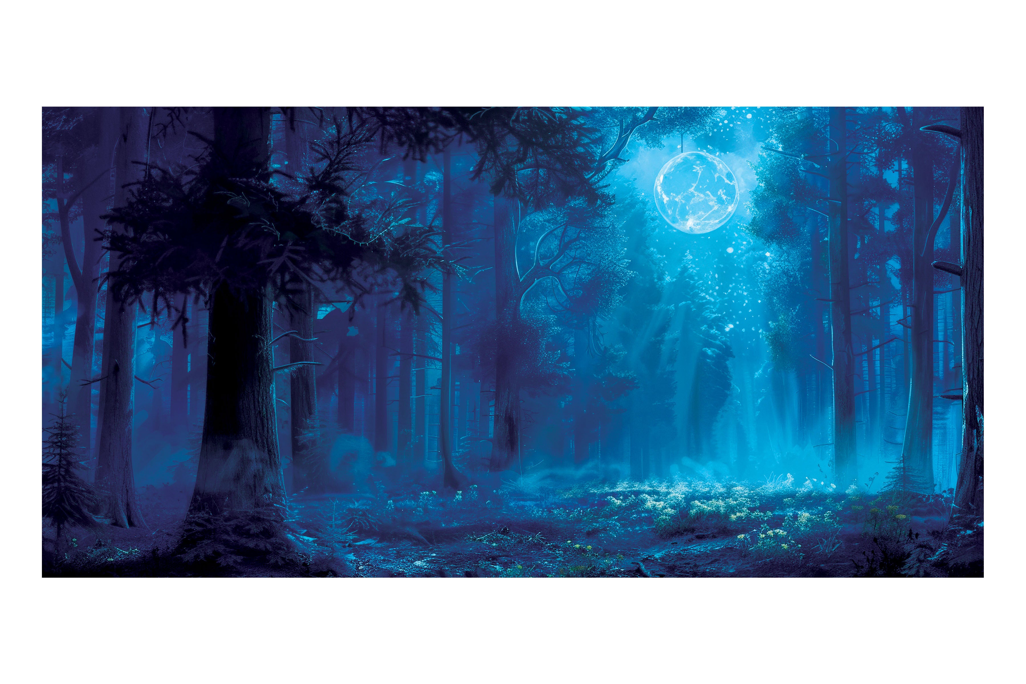 Dark Forest Theatre Backdrop