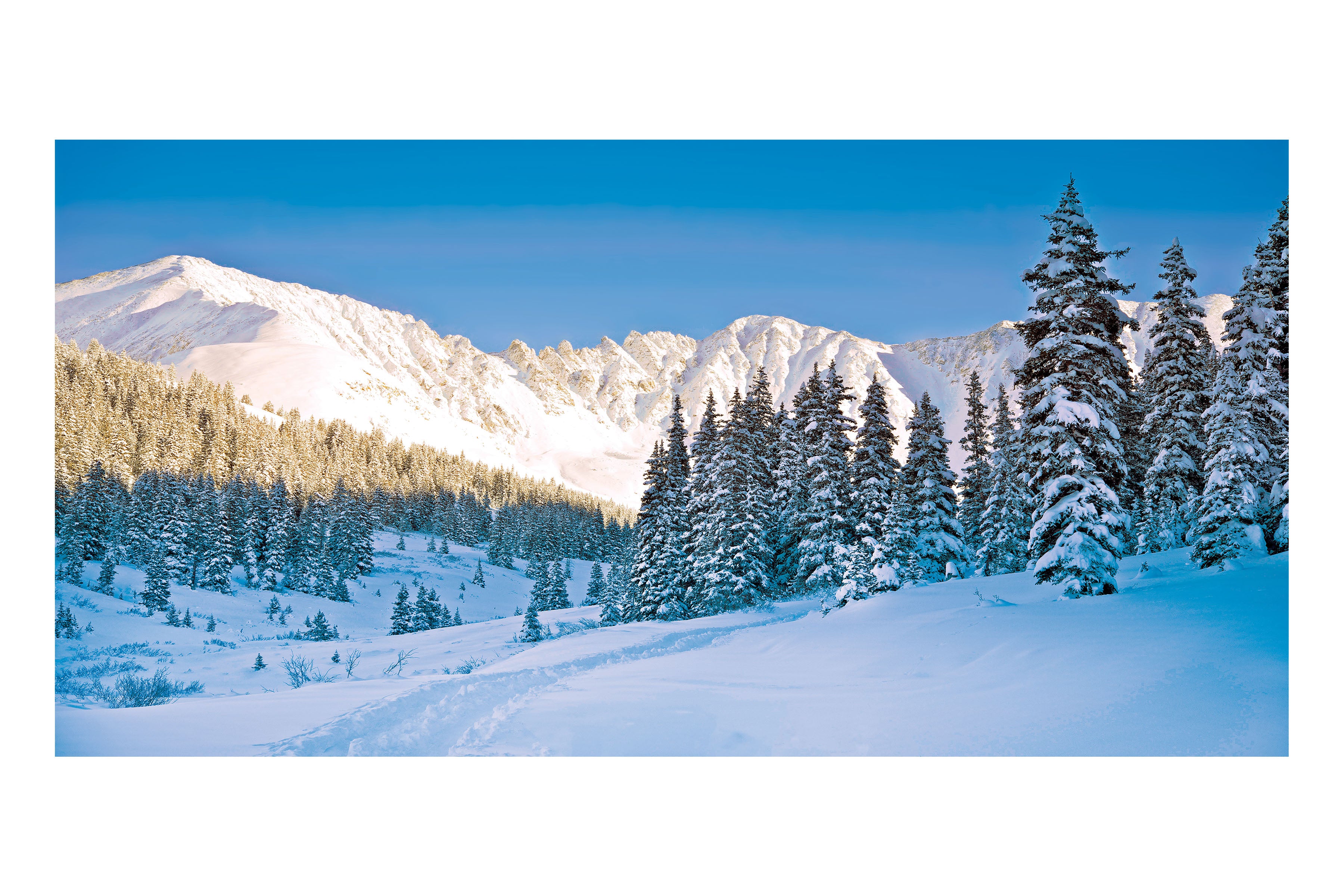 Winter Mountain Woods Theatre Backdrop