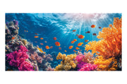 Coral Reef Theatre Backdrop