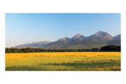 Autumn Mountain Valley Theatre Backdrop