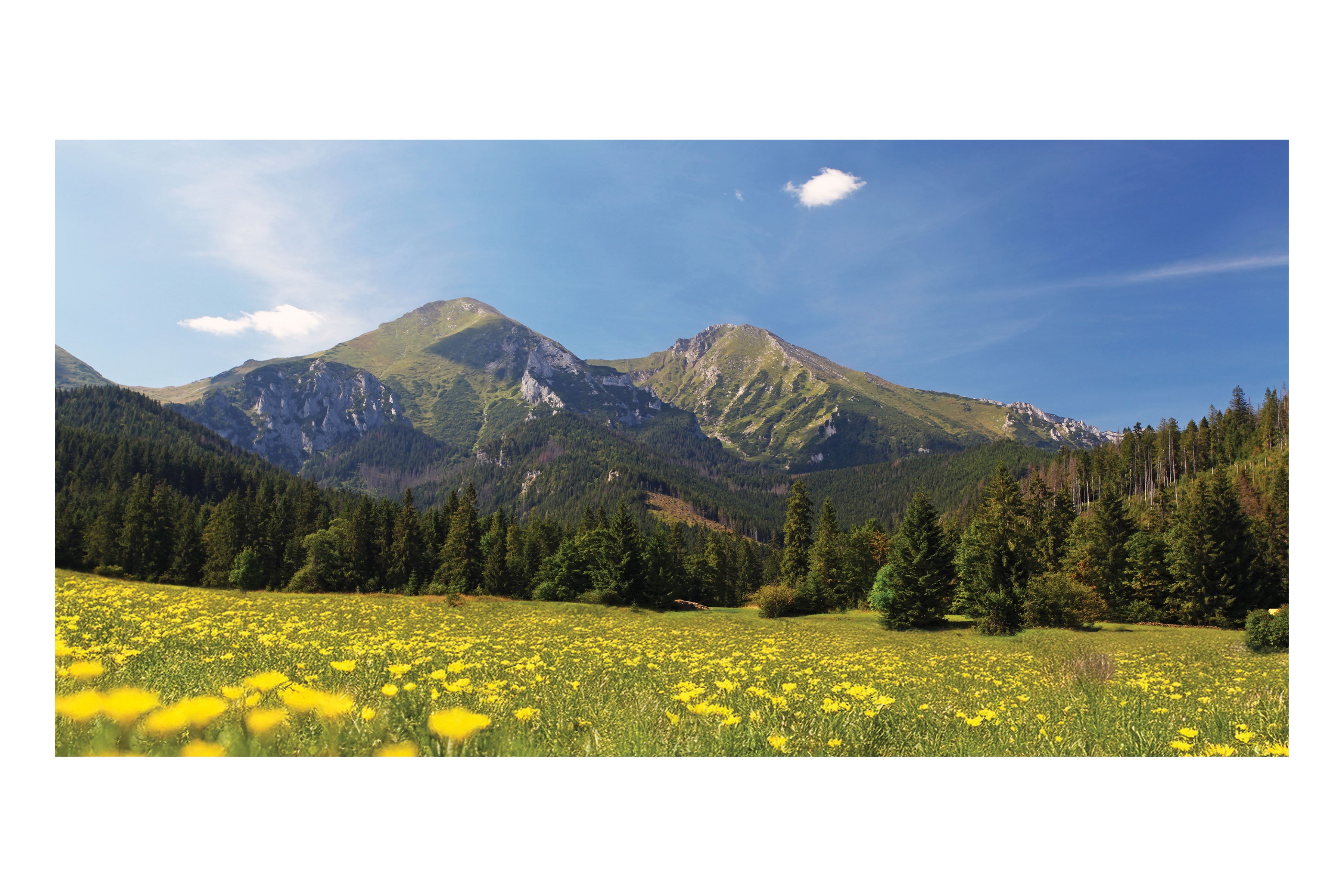 Spring Mountain Valley Theatre Backdrop