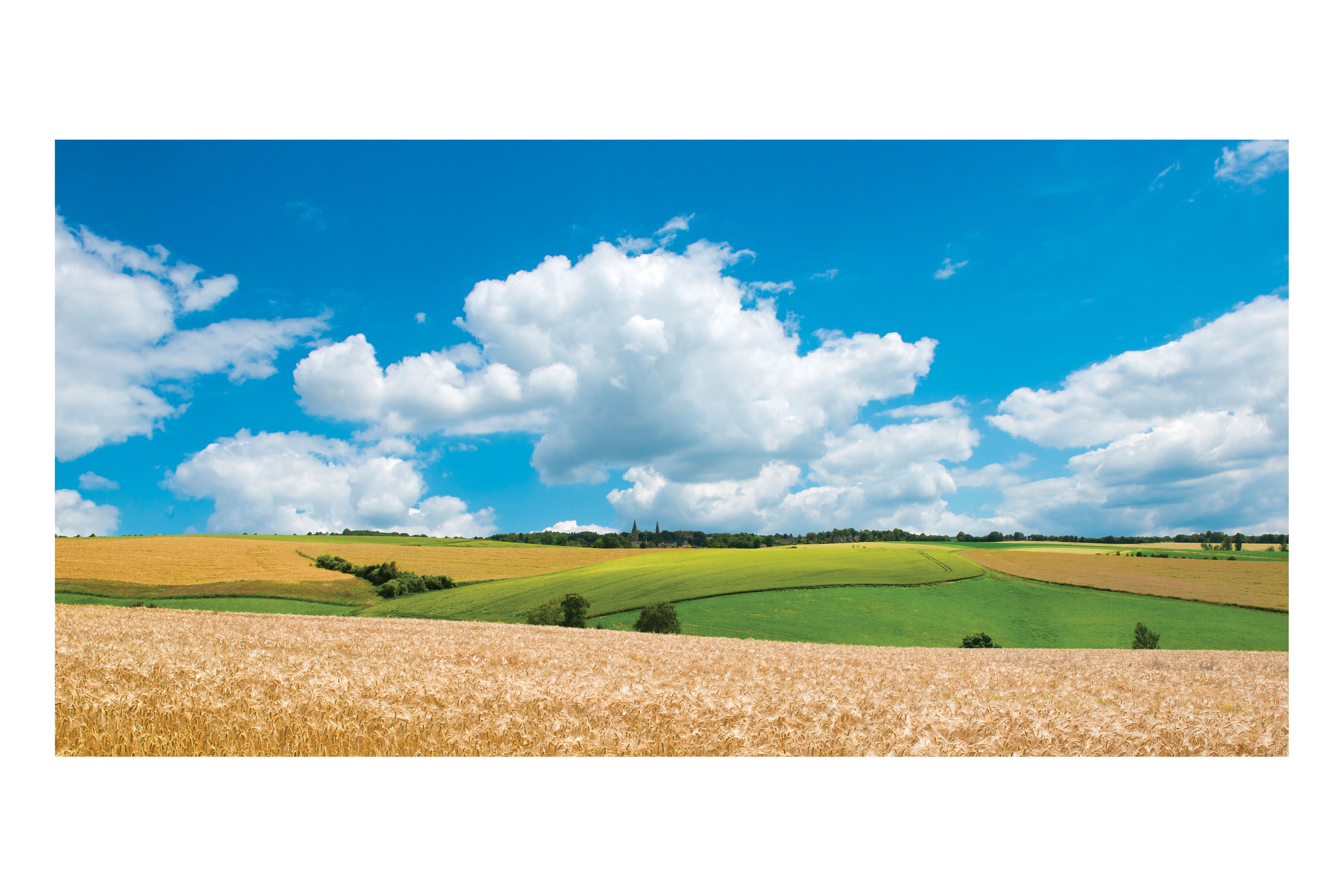 Wide Open Fields Theatre Backdrop