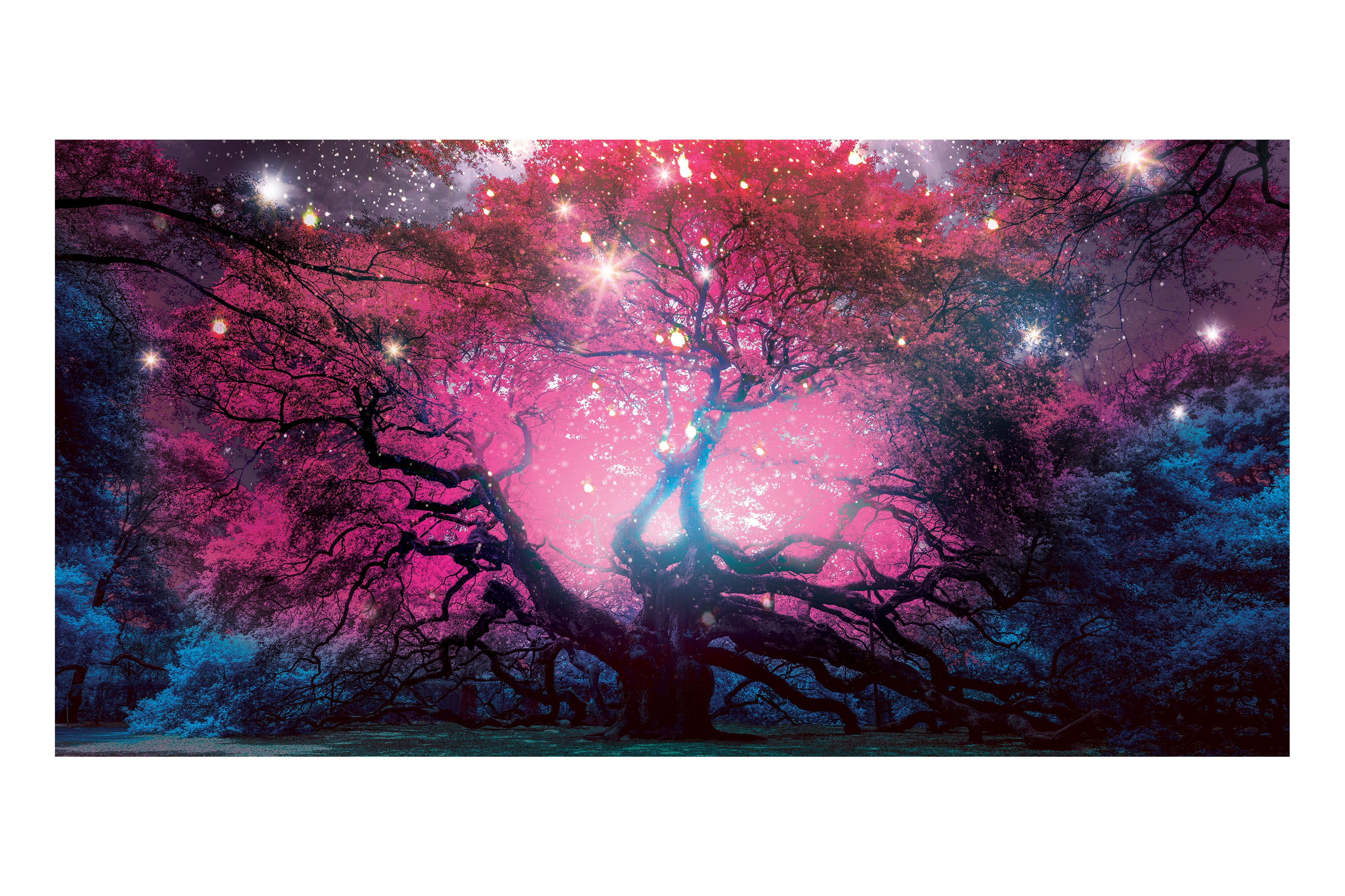 Enchanted Tree Theatre Backdrop