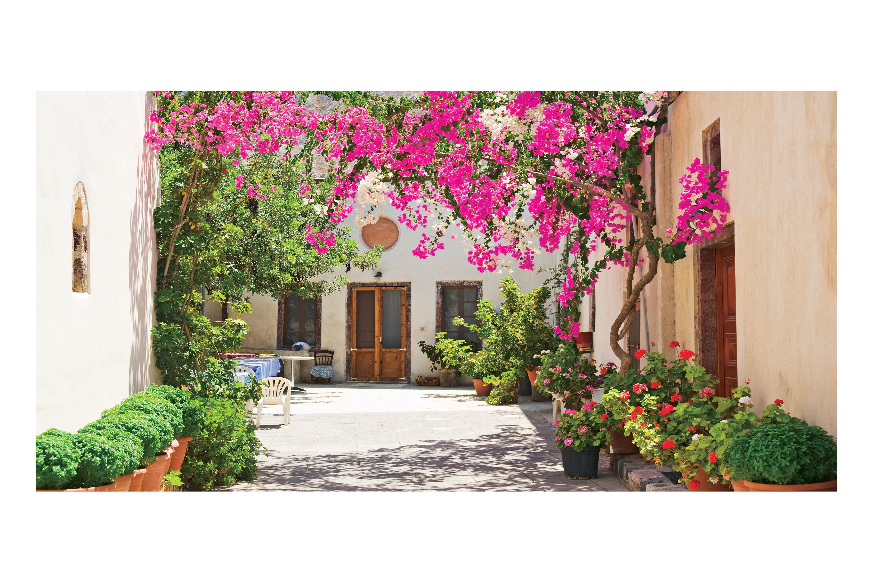 Summer Flowers Terrace Theatre Backdrop