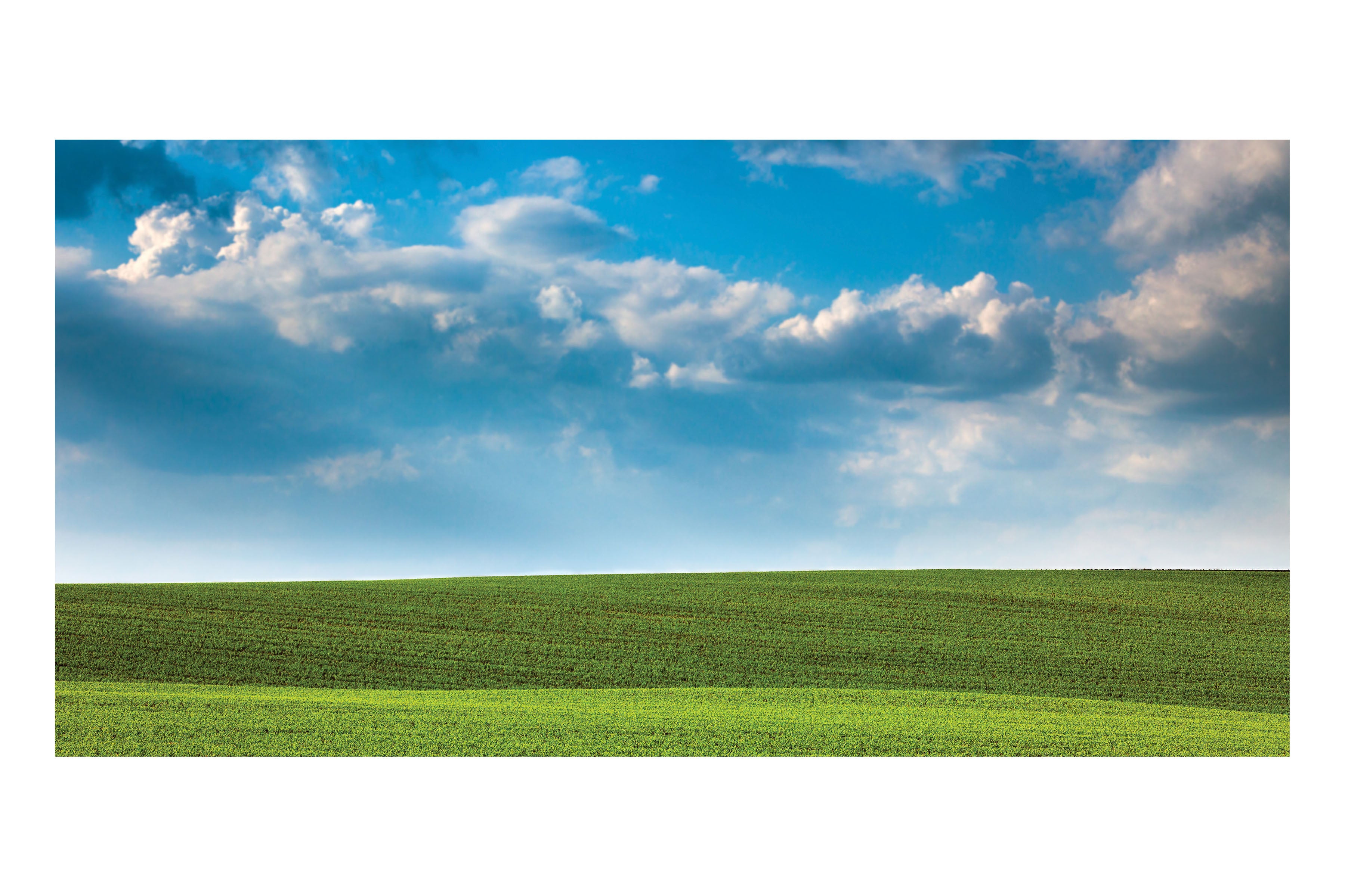 Summer Fields Theatre Backdrop