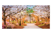 Romantic Town Square Theatre Backdrop